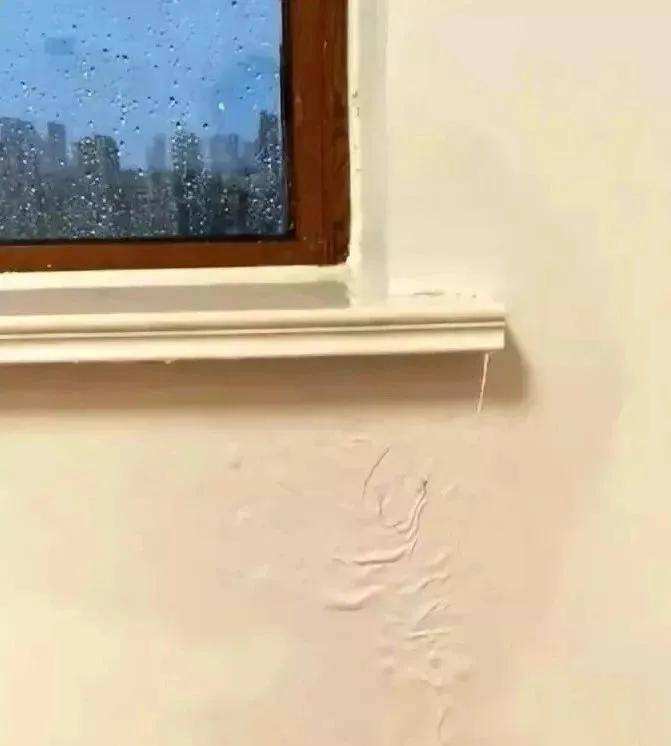 截图-20220905110244